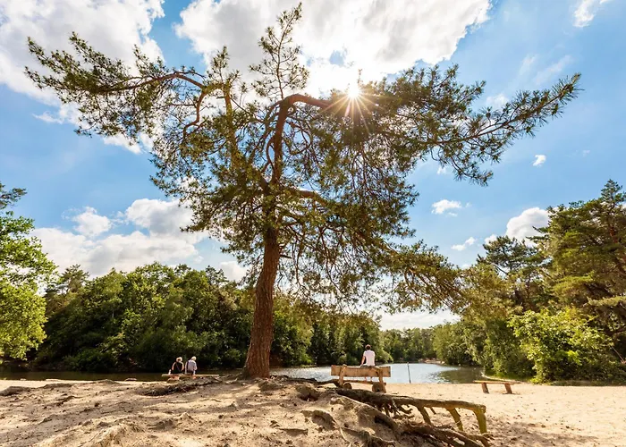 Stylish With Balcony, Near Station *